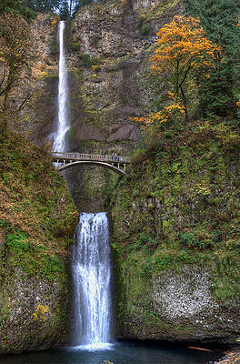 David Photograph - Multnomah Falls by David Hart