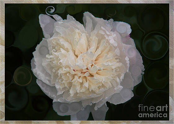Wall Art featuring the painting Mysterious White Peony Abstract Painting by Omaste Witkowski