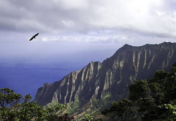 Hawaii Wall Art featuring the photograph Na Pali Coast by Steven Heap