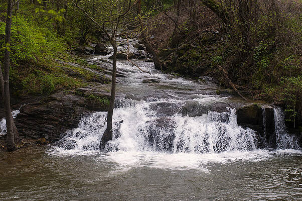 North Carolina Wall Art featuring the photograph Nantahala River Falls 4 by Flees Photos