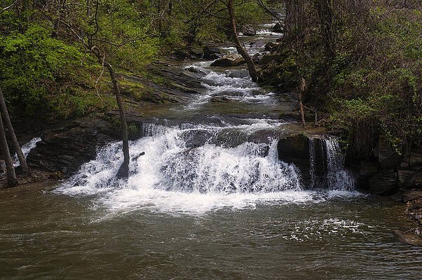 Wall Art featuring the photograph Nantahala River Falls 5 by Flees Photos