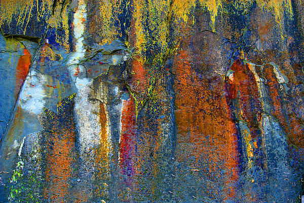 Wall Art featuring the photograph Nature's Painting by Lisa Chorny
