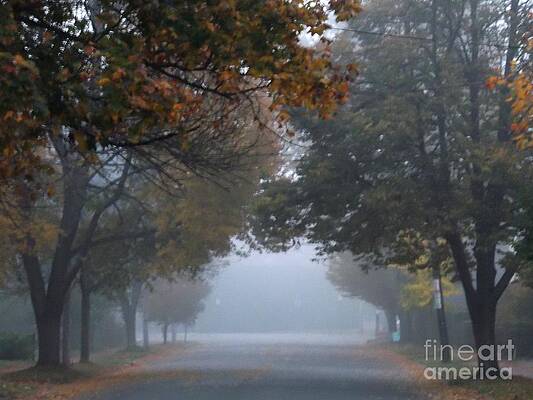 Photograph - Neal Street In Fog by Roche Fine Art