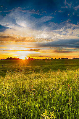 Sunset Over Lush Green Fields Wall Art