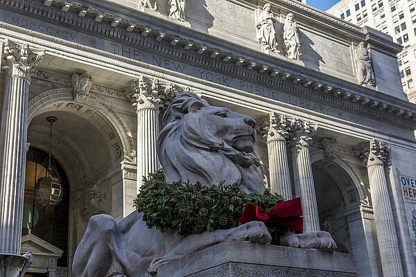 America Photograph - New York Public Library by David Morefield