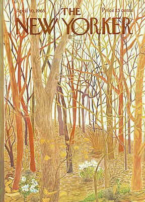 Autumn Forest Scene on New Yorker Cover Wall Art