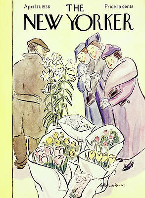 Contrast Wall Art featuring the painting New Yorker April 11 1936 by Helene E Hokinson