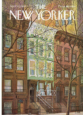 Charming Brownstone Rowhouses Wall Art