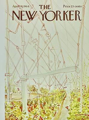 Pipe Wall Art featuring the painting New Yorker April 18th 1964 by James Stevenson