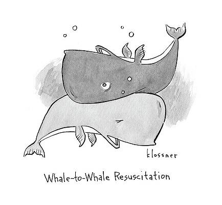 Wall Art featuring the drawing New Yorker April 24th, 2017 by John Klossner