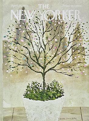 Blooming Tree on Magazine Cover Wall Art