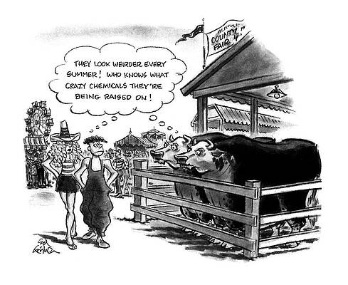 Cow Wall Art featuring the drawing New Yorker August 10th, 1992 by Ed Fisher