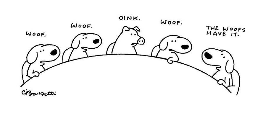 Pig Drawing - New Yorker August 11th, 1997 by Charles Barsotti