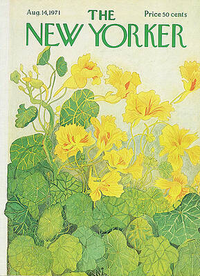 Vibrant Yellow Flowers and Green Leaves Wall Art