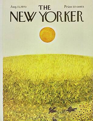 Golden Field Under a Setting Sun Wall Art