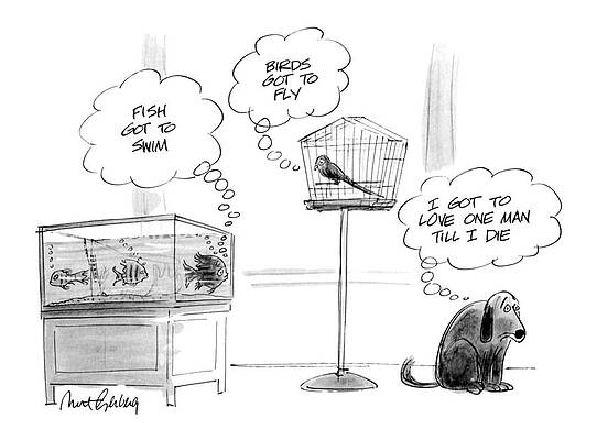 Humorous Animal Thoughts Drawing