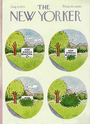 Keep America Beautiful Evolution Wall Art