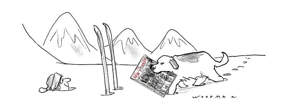 Ski Dog with Newspaper Drawing