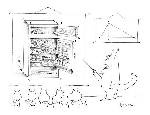 Cat Professor Lecturing on Geometry Drawing