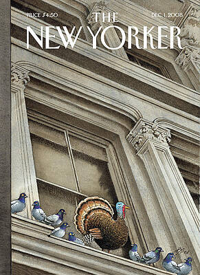 Turkey Perched Among Pigeons Print
