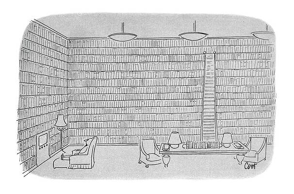 Vast Library with Ladder Wall Art