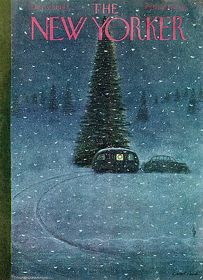 Snowy Christmas Tree in Winter Night Wall Art