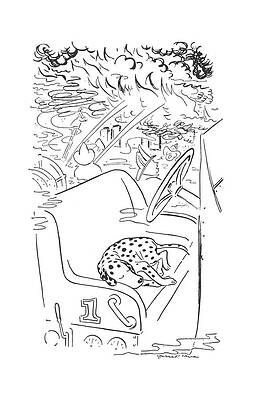 Dog Relaxing in a Car Wall Art