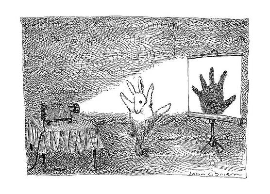 Rabbit Performs Shadow Puppet Show Wall Art