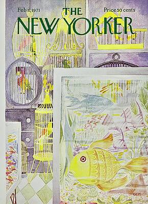 Quirky Fish and Bird Display Wall Art