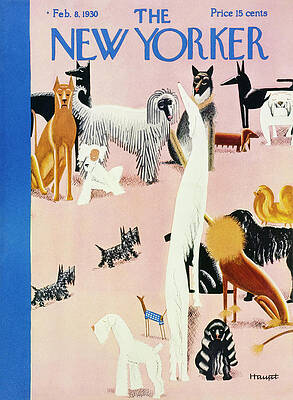Diverse Dogs on Magazine Cover Painting