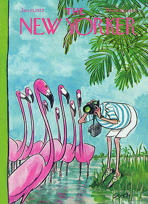 Flamingos and Photographer Painting