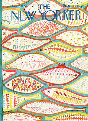 Colorful Fish Patterns Wall Art