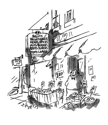 Vegetable Drawing - New Yorker July 18th, 1994 by Sidney Harris