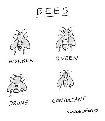 Bee Roles and Humorous Twist Wall Art