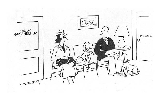 Waiting Room Antics at the Vet Drawing