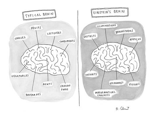 Brain Drawing - New Yorker July 5th, 1999 by Roz Chast