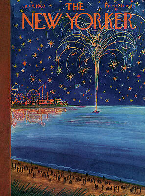 Fireworks Over Amusement Park Wall Art