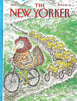 Chicken Cycling Adventure Wall Art