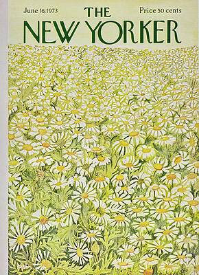 Field of Blooming Daisies Painting