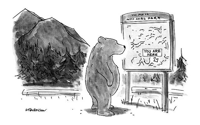 Bear at a National Park Map Drawing