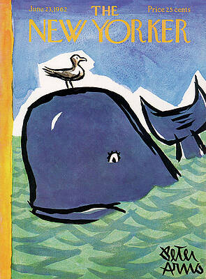 Playful Whale and Seagull Scene Wall Art