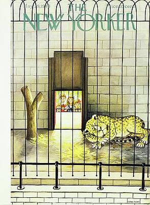 Cheetah Resting in Zoo Enclosure Wall Art