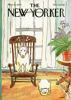 Dog and Cat in a Cozy Room Wall Art