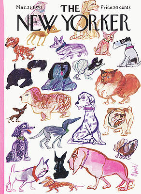 Colorful Dog Sketches on New Yorker Cover Wall Art