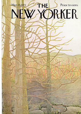 Bare Trees in Early Spring Wall Art