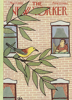 Woman Observing Bird on Branch Wall Art