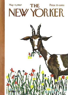 Goat Among Spring Flowers Wall Art