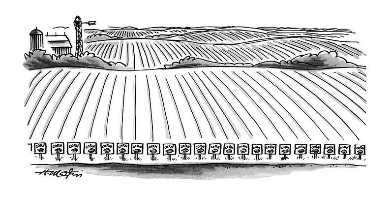 Vegetable Drawing - New Yorker May 21st, 1979 by Henry Martin