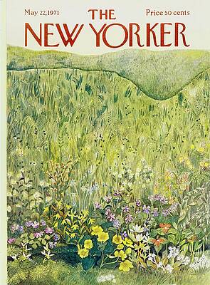 Spring Meadow Bloom Wall Art