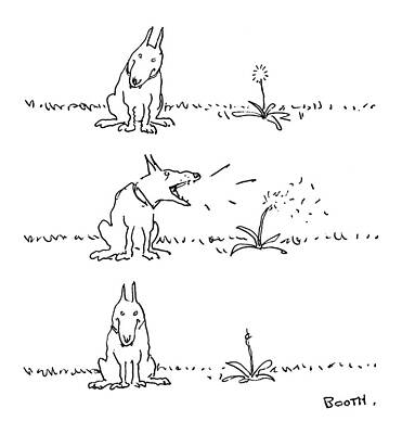 Dog Watching Dandelion Puff Wall Art